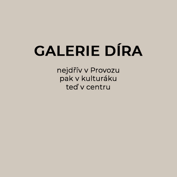 Galerie Díra